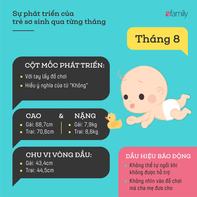 tham khao cac cot moc phat trien quan trong cua em be so sinh trong nam dau tien theo tung thang e97913