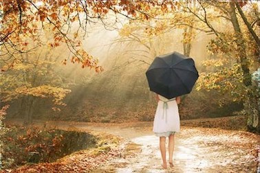 Nhắm mắt và lãng quên - Hình 1