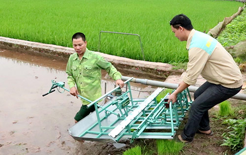 Ông Trần Đại Nghĩa và sáng chế chiếc máy cấy vèo vèo - Hình 2