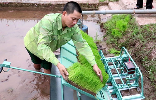 Ông Trần Đại Nghĩa và sáng chế chiếc máy cấy vèo vèo - Hình 1