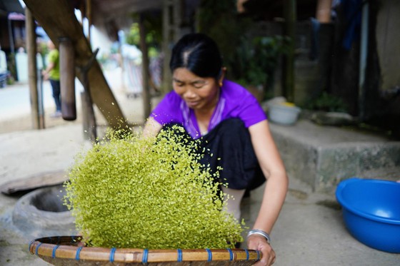 Say sưa cốm Tú Lệ - Hình 6