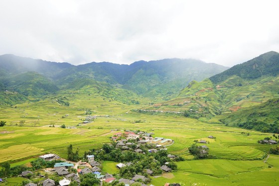 Say sưa cốm Tú Lệ - Hình 1
