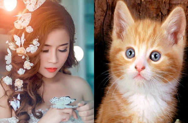 Top 5 con giáp nữ không ham vật chất, sẵn sàng đi theo tiếng gọi con tim xây dựng hạnh phúc cùng người mình yêu - Hình 4