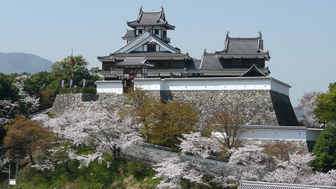 Trong 24 giờ, 12 học sinh Úc sẽ 'cai trị' tòa lâu đài cổ ở Kyoto - Hình 1