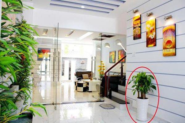 Cuối năm dọn nhà theo cách này để mở cửa đón lộc, tiền bạc rủng rỉnh cả năm - Hình 1