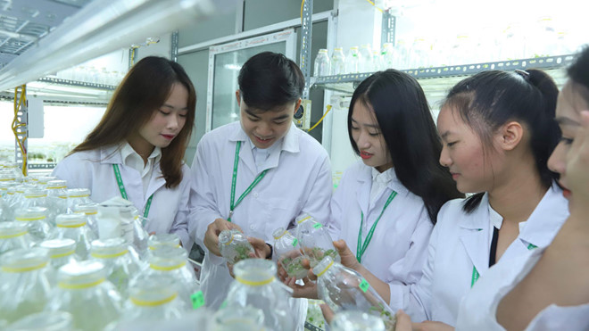Giấc mơ của những công dân 2000 - Hình 1
