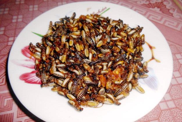 Về xứ Quảng thưởng thức mối đất - Hình 1