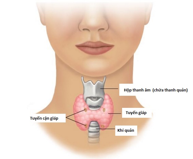 vi sao phu nu de mac benh ung thu nay gap nhieu lan so voi nam gioi 8a7014