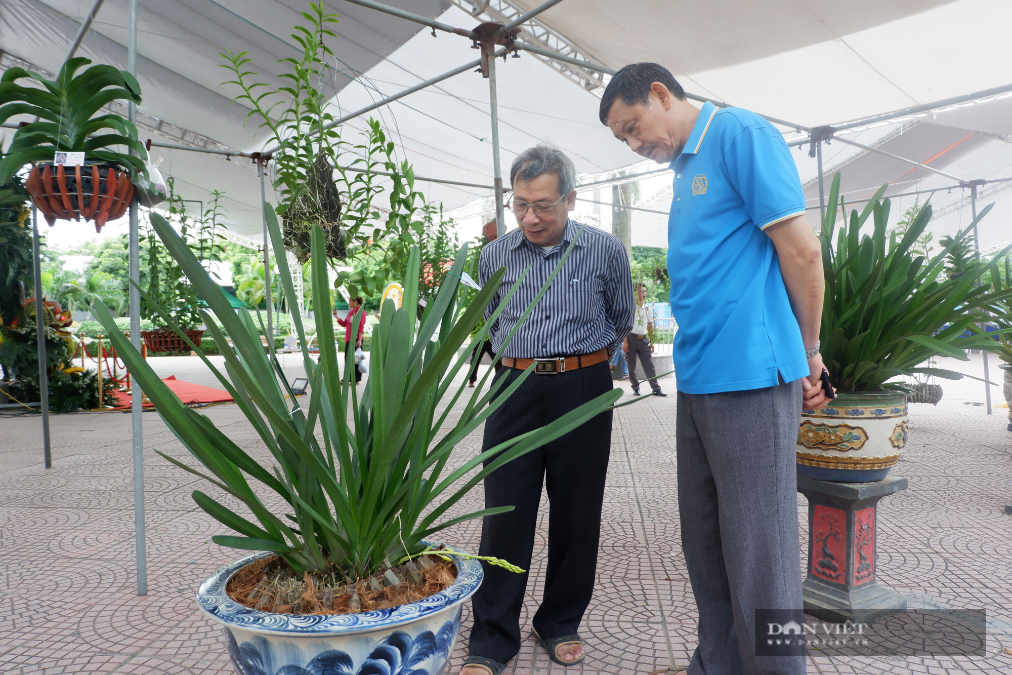 Hà Nội: Hàng trăm đặc sản OCOP quy tụ, nhiều hoạt động hấp dẫn khiến du khách thích thú - Hình 3
