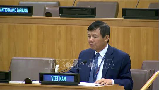 Việt Nam khẳng định ASEAN ủng hộ các nỗ lực quốc tế về chống phổ biến và giải trừ quân bị các loại vũ khí hủy diệt - Hình 1