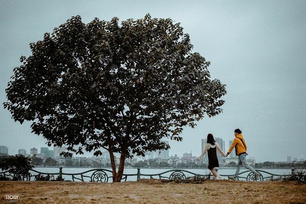 Hà Nội cũng có cây cô đơn ở ngay Hồ Tây, ngắm hoàng hôn siêu đẹp - Hình 2