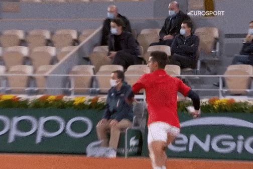 Djokovic đánh bóng trúng mặt trọng tài tại Pháp mở rộng - Hình 1