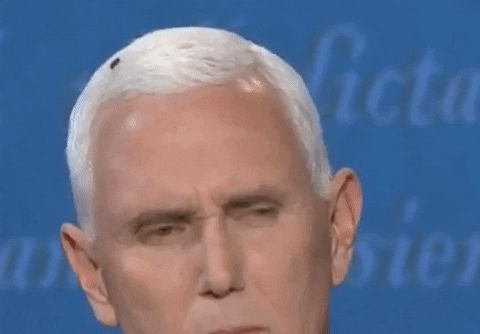 Vỉ đ.ập ruồi cháy hàng tại Mỹ sau sự cố ruồi đậu lên đầu Phó tổng thống Mike Pence - Hình 3