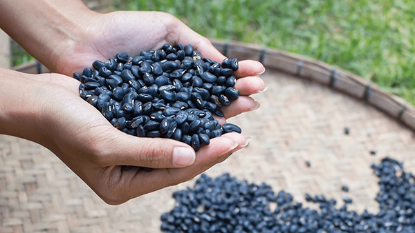 Cho thêm 4 thứ này vào cơm khi nấu càng ăn càng giảm cân lại trẻ lâu, sống thọ - Hình 5