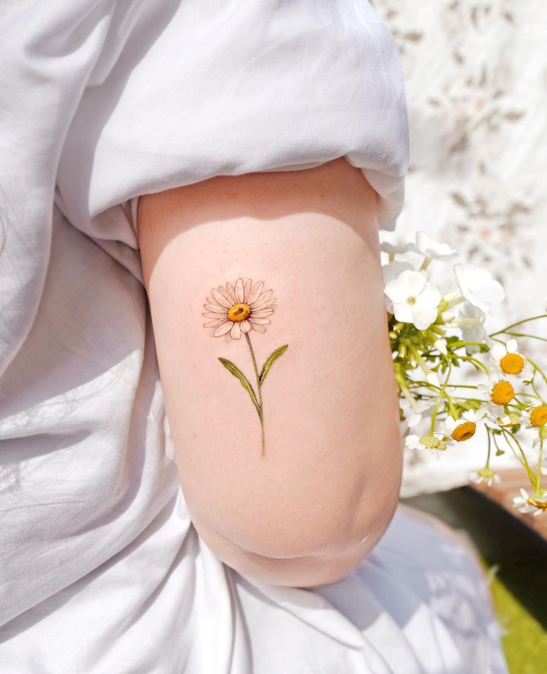 Su Trần Tattoo  Cúc họa mi  Daisy  Loài hoa tượng trưng  Facebook
