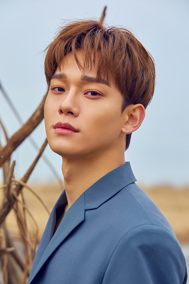 Biến căng: Baekhyun (EXO) gây sốc khi trả lời bình luận của netizen lăng mạ Chen, fandom phản ứng dữ dội vì đây không phải lần đầu - Hình 5