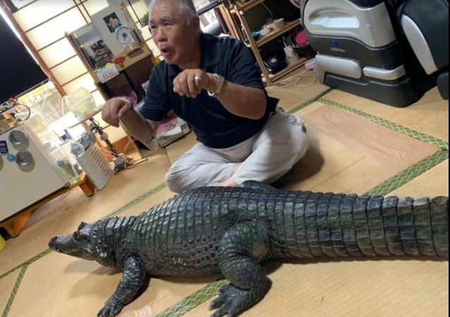Người đàn ông kỳ lạ, nuôi cá sấu trong nhà trong gần 40 năm - Hình 1