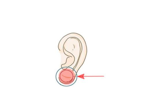 Phụ nữ mang mệnh phu nhân thường sở hữu những đặc điểm này, không chỉ nổi tiếng mà còn khí chất, cả đời không lo cơm áo gạo tiền - Hình 3