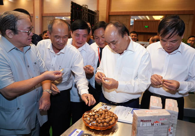 Xây dựng chiến lược phát triển mắc ca bền vững tại Việt Nam - Hình 2