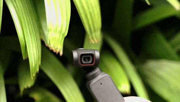 DJI Pocket 2 ver Creator Combo: Nâng cấp camera 64MP, chống rung siêu mượt, thêm góc siêu rộng và loạt phụ kiện đẳng cấp - Hình 4