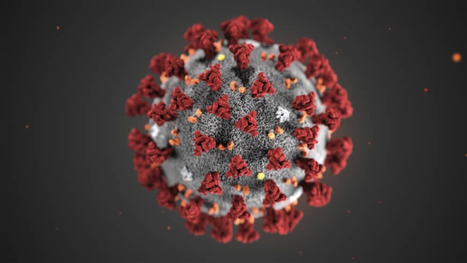 Hình ảnh về chủng virus corona mới - Hình 6