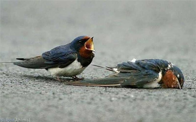 Làm ăn chăm chỉ cả đời vẫn chưa giàu, có thể bạn đã mắc phải sai lầm này - Hình 2