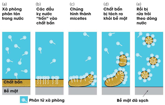 infographic lich su cua xa phong va cach chung tieu diet virus corona 286 4769593