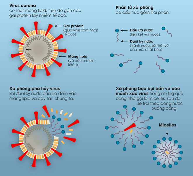 infographic lich su cua xa phong va cach chung tieu diet virus corona 6ea 4769593