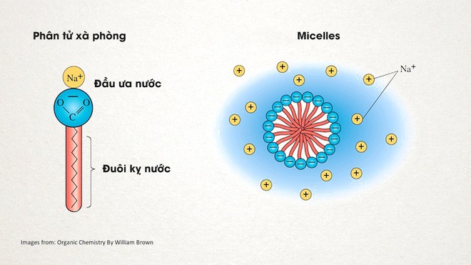 infographic lich su cua xa phong va cach chung tieu diet virus corona aa0 4769593