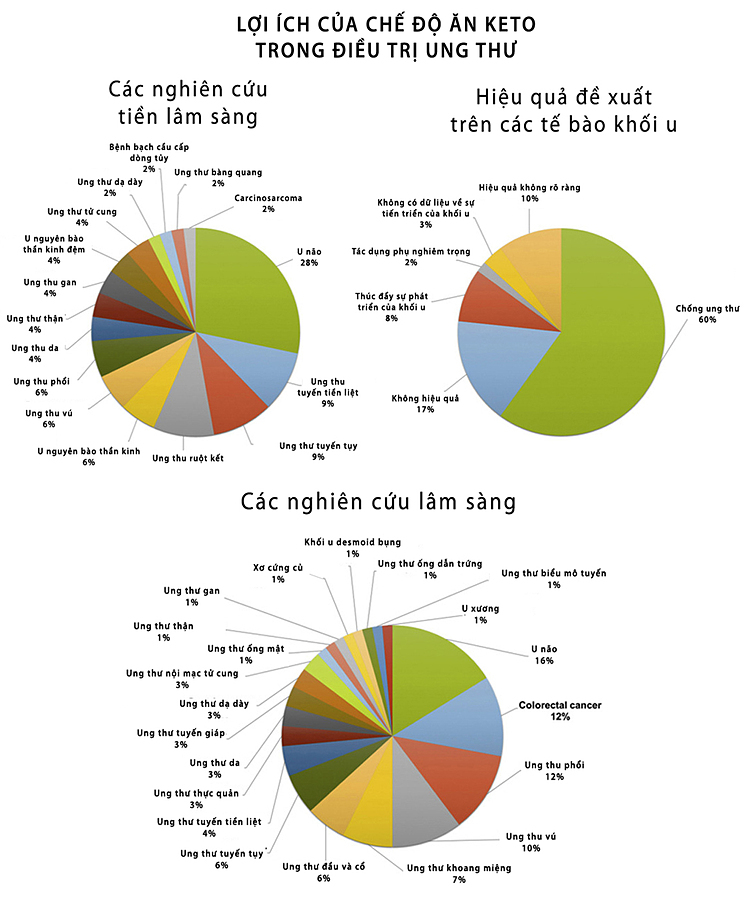 loi ich cua che do an keto trong dieu tri ung thu 93f 4772219