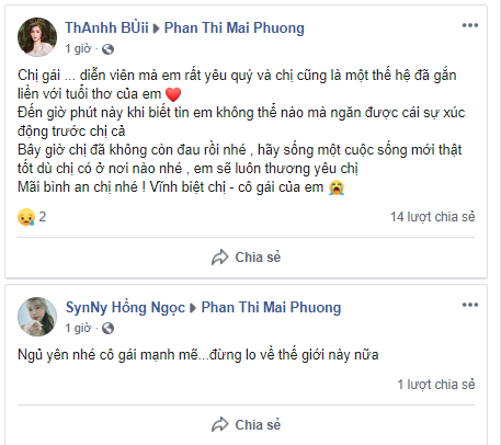 Facebook cố diễn viên Mai Phương bừng sáng lúc nữa đêm vì những lời tiễn biệt của khán giả - Hình 2