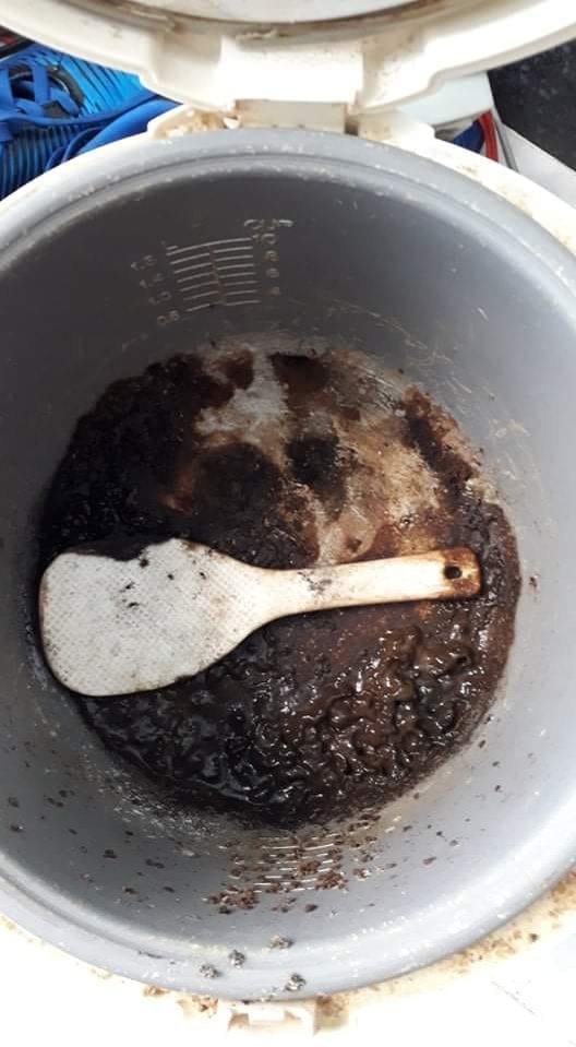Cảnh hoang tàn của lớp học, phòng trọ sinh viên sau kỳ nghỉ dài vì dịch COVID-19: Ổ mối to đùng, cây héo, nồi cơm bốc mùi và hàng tá những nỗi khổ! - Hình 2