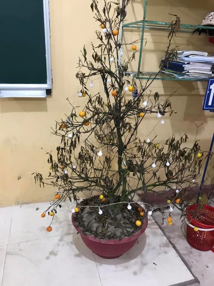 Cảnh hoang tàn của lớp học, phòng trọ sinh viên sau kỳ nghỉ dài vì dịch COVID-19: Ổ mối to đùng, cây héo, nồi cơm bốc mùi và hàng tá những nỗi khổ! - Hình 3