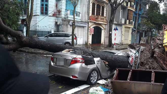 Chiếc xe ô tô bị cây đổ đè bẹp, biến dạng trong cơn mưa lớn ở Hà Nội - Hình 2