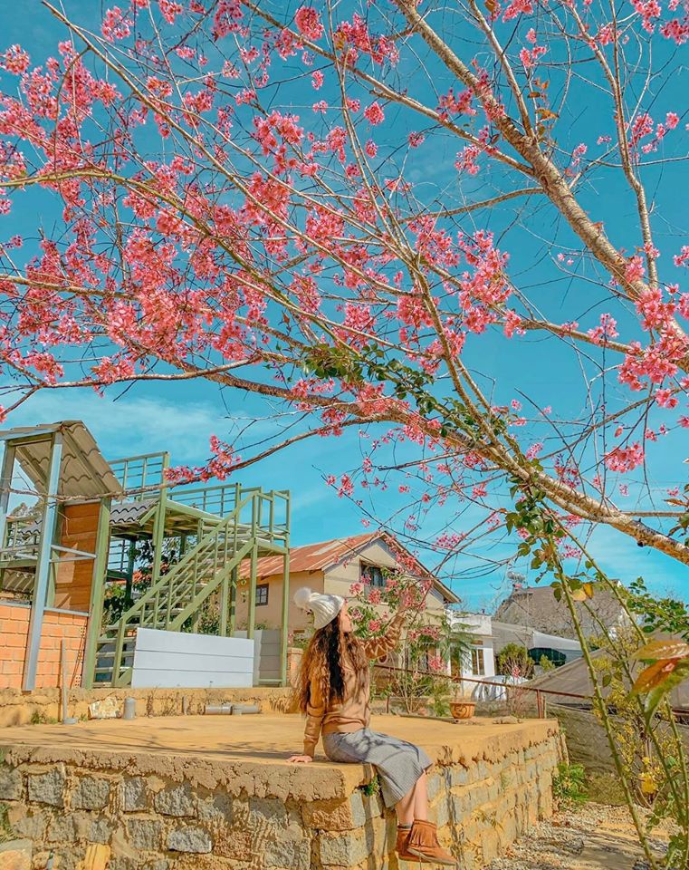 Giới trẻ rủ nhau check-in thị trấn Nobi giữa lòng Đà Lạt - Hình 12