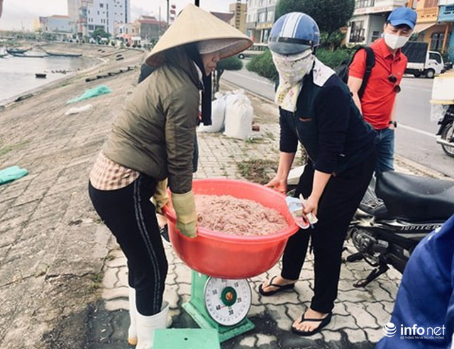 Quảng Bình: Ruốc biển vào gần bờ, ngư dân xúc mệt nghỉ, kiếm 10 triệu đồng/đêm - Hình 4