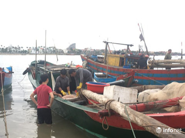 Quảng Bình: Ruốc biển vào gần bờ, ngư dân xúc mệt nghỉ, kiếm 10 triệu đồng/đêm - Hình 2