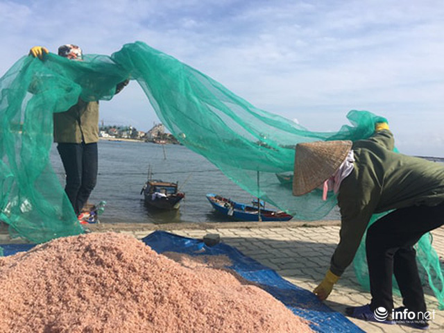 Quảng Bình: Ruốc biển vào gần bờ, ngư dân xúc mệt nghỉ, kiếm 10 triệu đồng/đêm - Hình 5