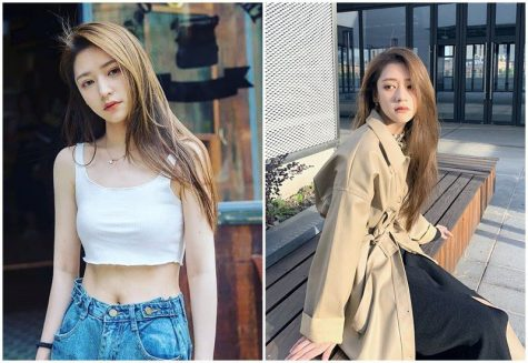 5 bông hồng lai làm điên đảo cộng đồng mạng xứ Trung - Hình 1