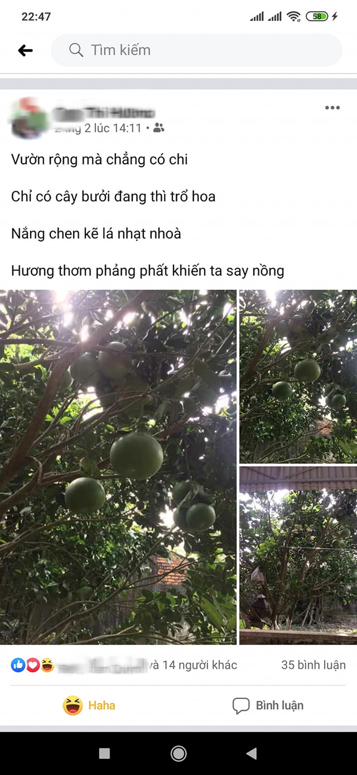 Cô gái khoe niềm vui tuổi già khi mẹ dùng Facebook, đặc biệt nhất là nội dung những bài đăng của mẹ - Hình 5
