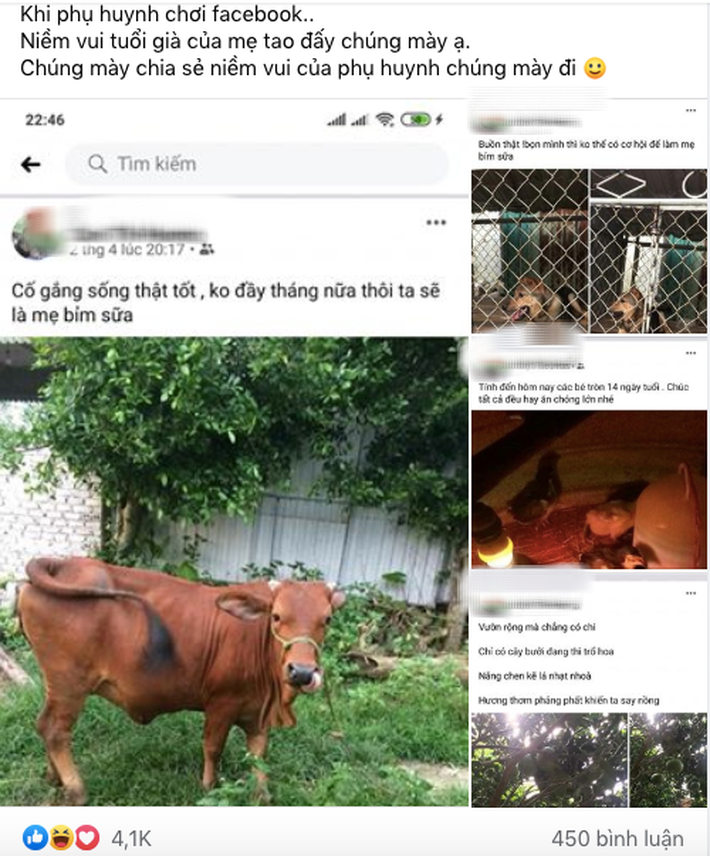 Cô gái khoe niềm vui tuổi già khi mẹ dùng Facebook, đặc biệt nhất là nội dung những bài đăng của mẹ - Hình 1