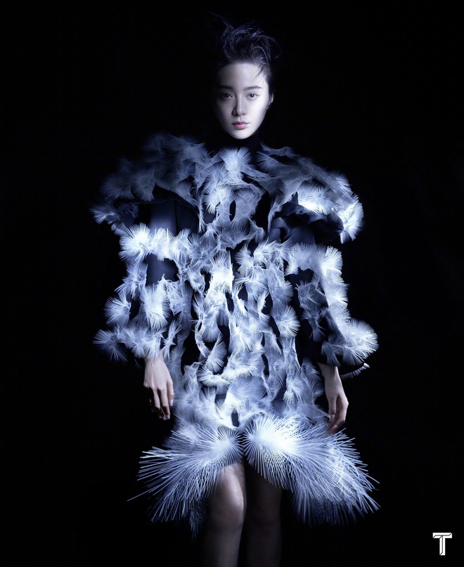 Phạm Băng Băng bị fan chê già khi lên bìa Wonderland - Hình 6