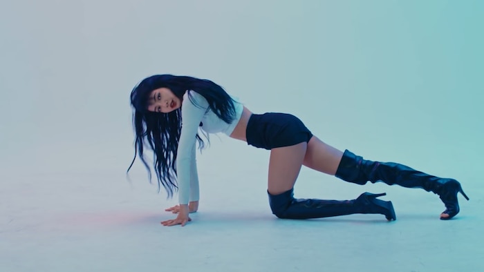 Ảnh gợi cảm của Lisa (Blackpink) trở thành meme trên toàn thế giới, Knet phản ứng gay gắt - Hình 3