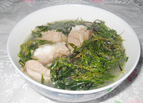 Bổ dưỡng canh đinh lăng nấu sườn non - Hình 3