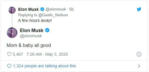 Elon Musk vừa làm cha lần thứ 6 - Hình 1