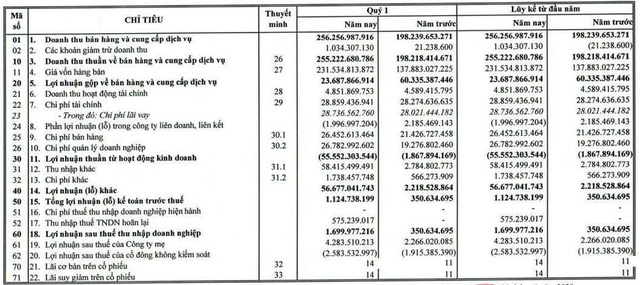Gỗ Trường Thành (TTF): Quý 1 thoát lỗ nhờ khoản tiền bồi thường từ cổ đông - Hình 2