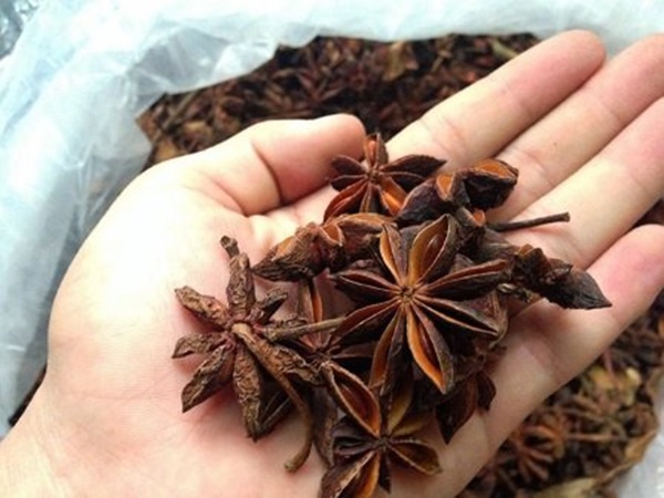 Kho thịt đừng dại mà cho thứ này vào nồi kẻo thịt dai, mất hết dinh dưỡng, nhiều người vẫn làm sai - Hình 1