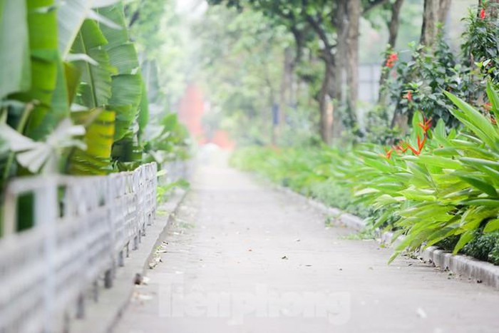 Những con đường mới giải nhiệt của Thủ đô - Hình 13