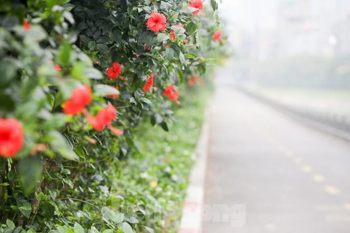 Những con đường mới giải nhiệt của Thủ đô - Hình 17