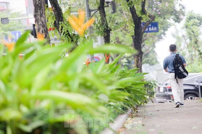 Những con đường mới giải nhiệt của Thủ đô - Hình 9